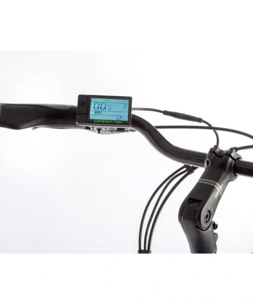 leader fox park city