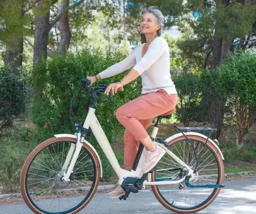 Ηλεκτρικό ποδήλατο οδηγός αγοράς.