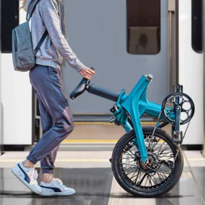 Fiido X Folding Electric Bike