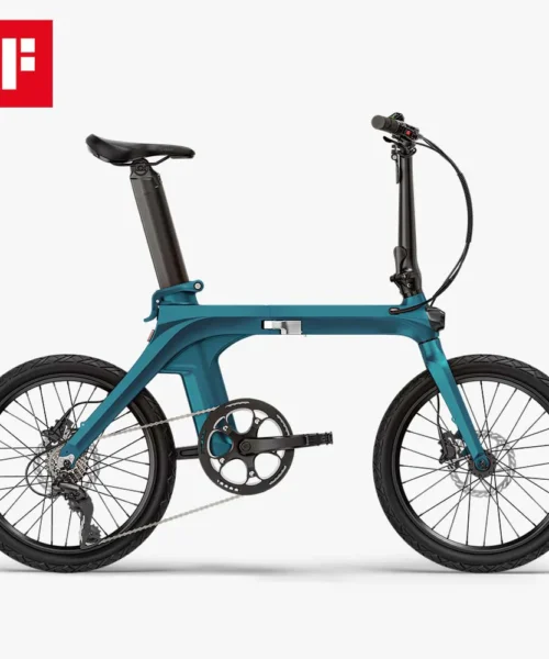 Fiido Folding Electric Bike