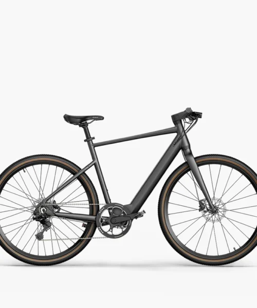 Fiido e bike C21