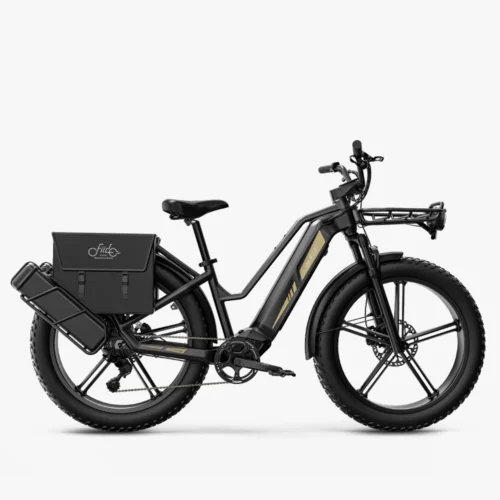 Fiido Titan Touring - Image 4