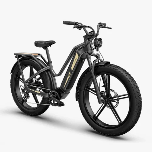 Fiido Titan Touring - Image 2