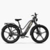 Fiido Titan Touring