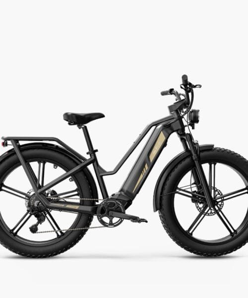Fiido Titan Touring
