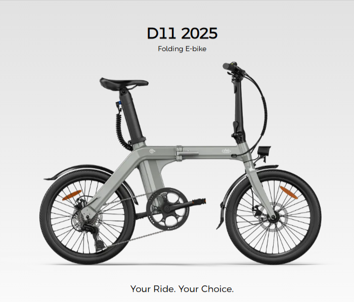 Fiido D11 Folding eBike