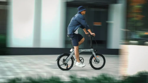 Fiido D11 Folding eBike