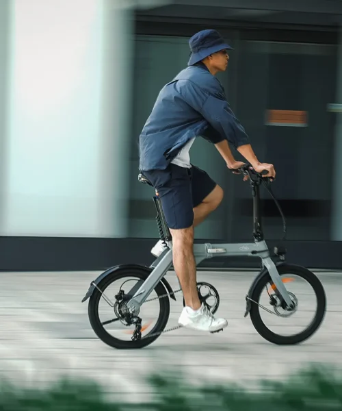 Fiido D11 Folding eBike