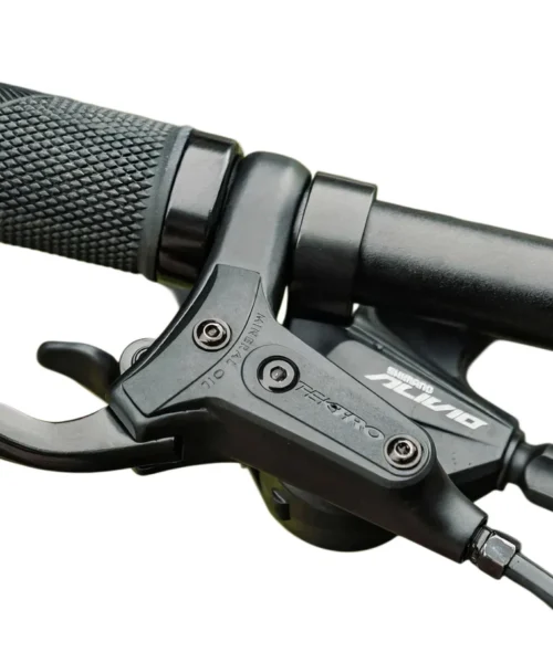 Fiido Nomads Touring