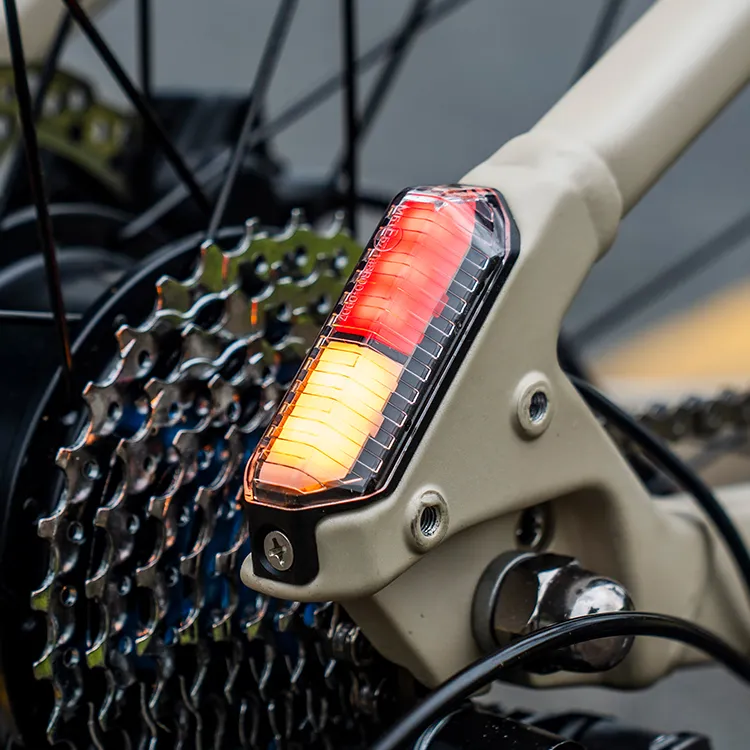 Fiido Nomads Touring