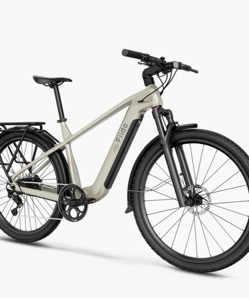 Fiido Nomads Touring