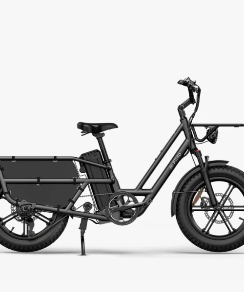 Fiido T2 Cargo E-bike
