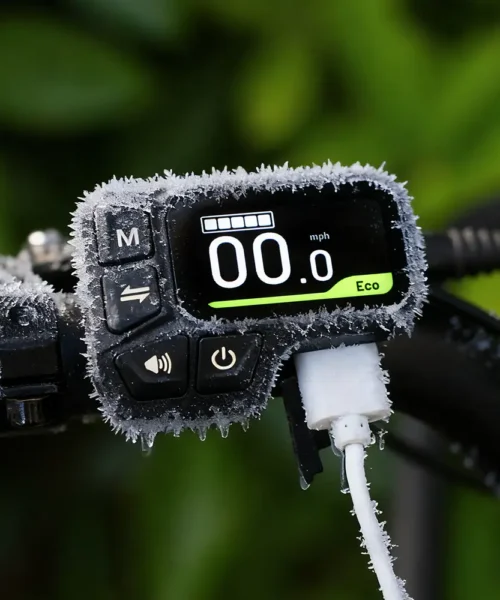 Fiido T2 Cargo E-bike