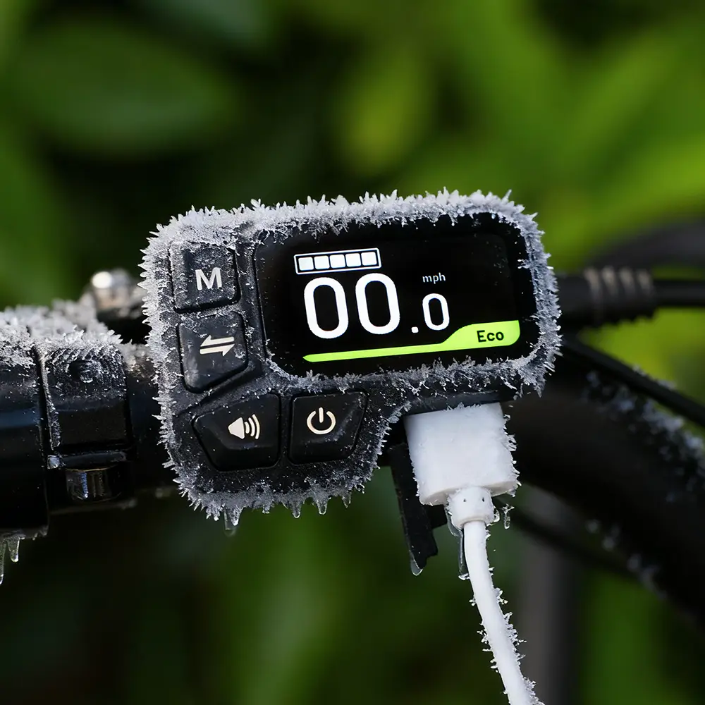 Fiido T2 Cargo E-bike