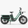 Fiido T2 Cargo E-bike