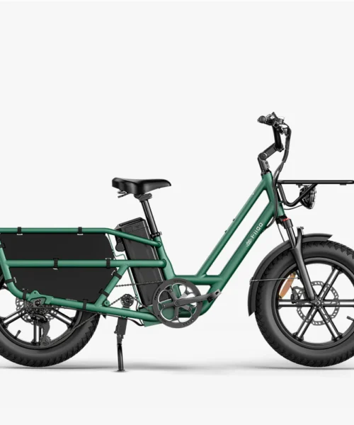 Fiido T2 Cargo E-bike