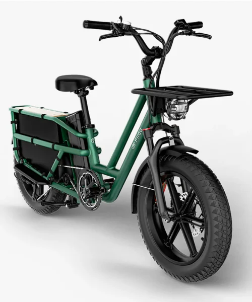 Fiido T2 Cargo E-bike