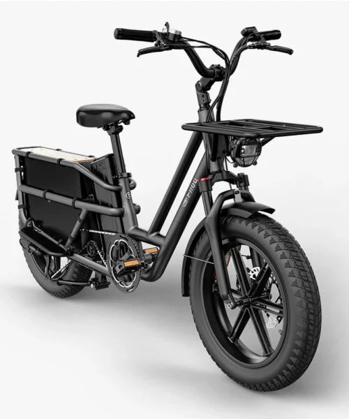 με ελαστικά Fat tires