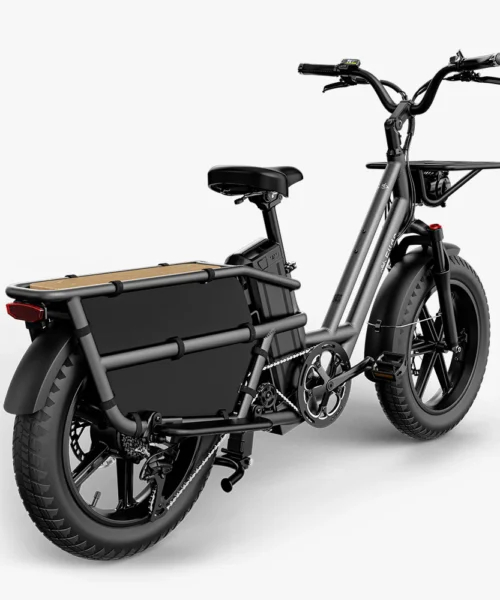 Fiido T2 Cargo E-bike