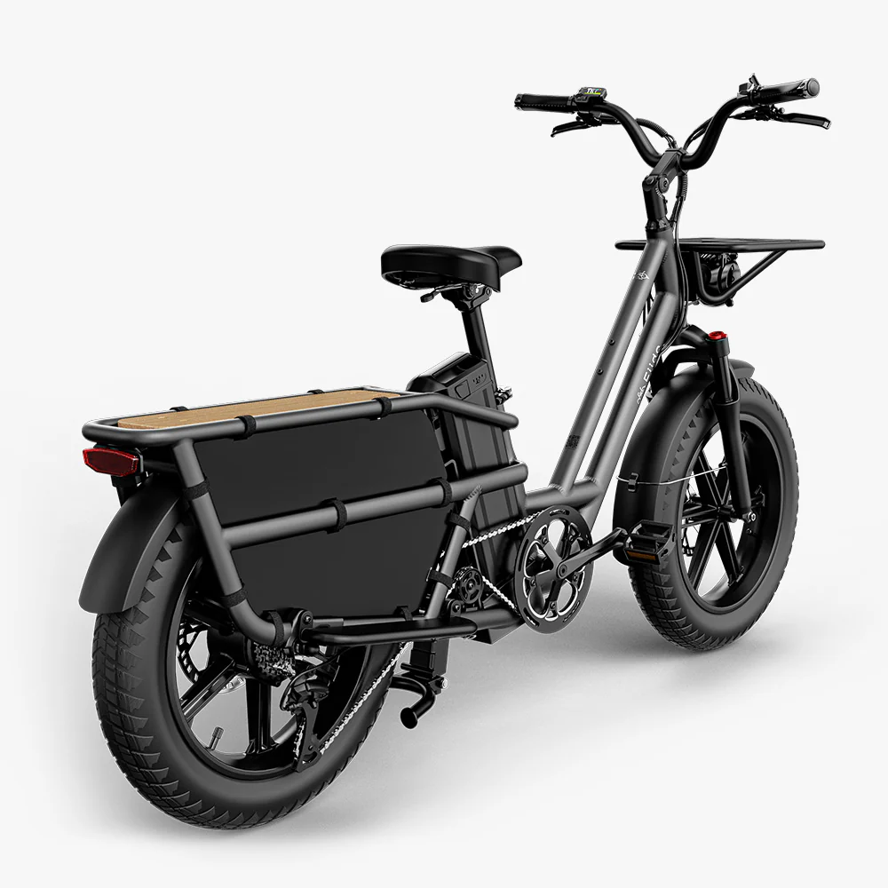 Fiido T2 Cargo E-bike