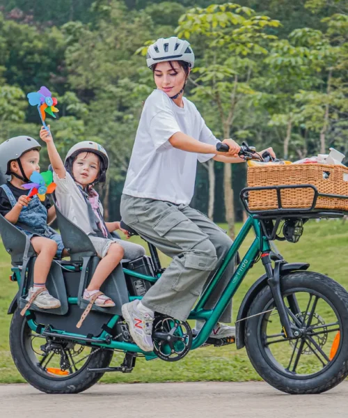 Fiido T2 Cargo E-bike