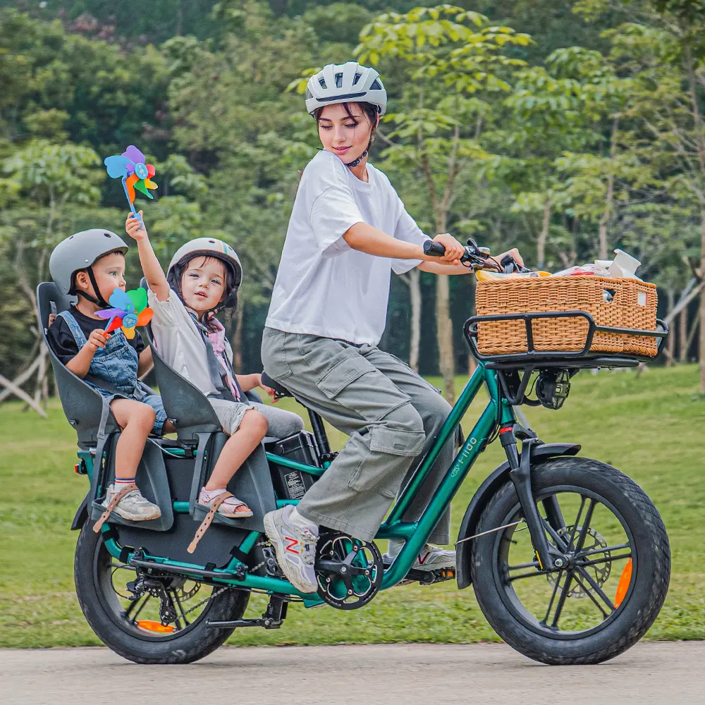 Fiido T2 Cargo E-bike